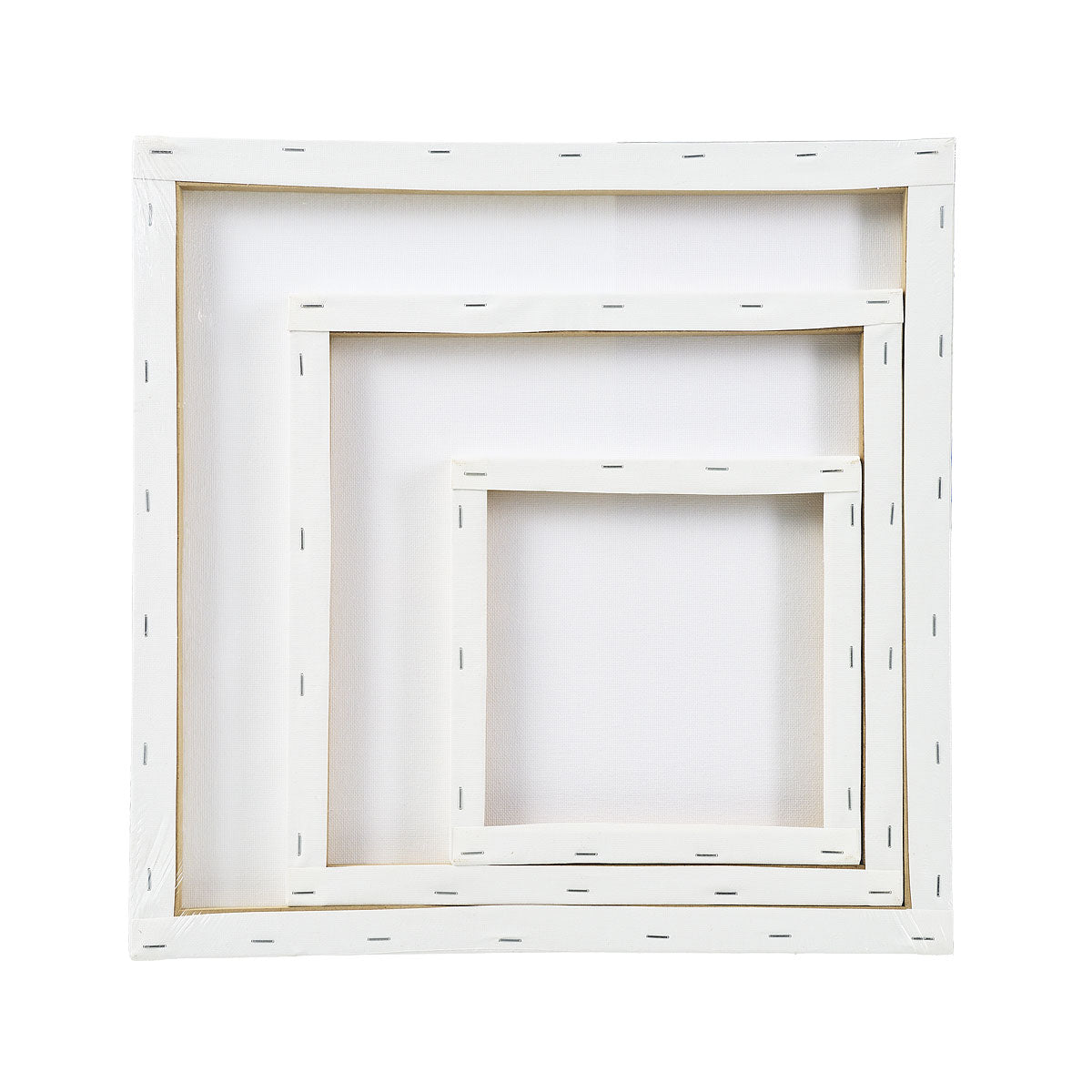 Propaint Canvases 3pk