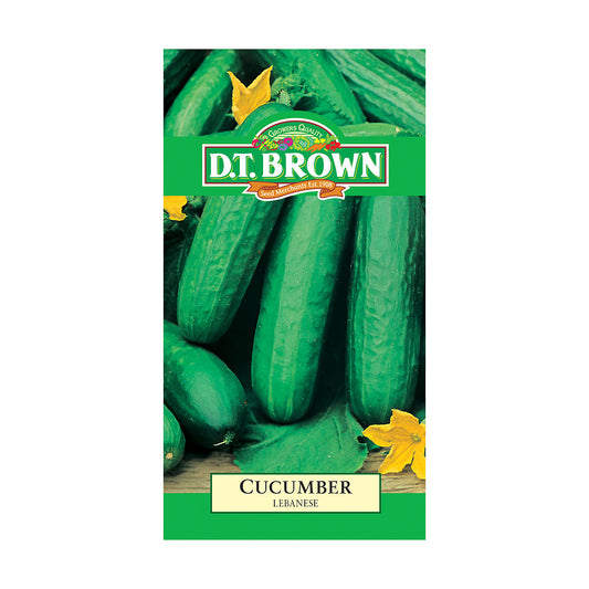 DT Brown Cucumber Seeds Variety