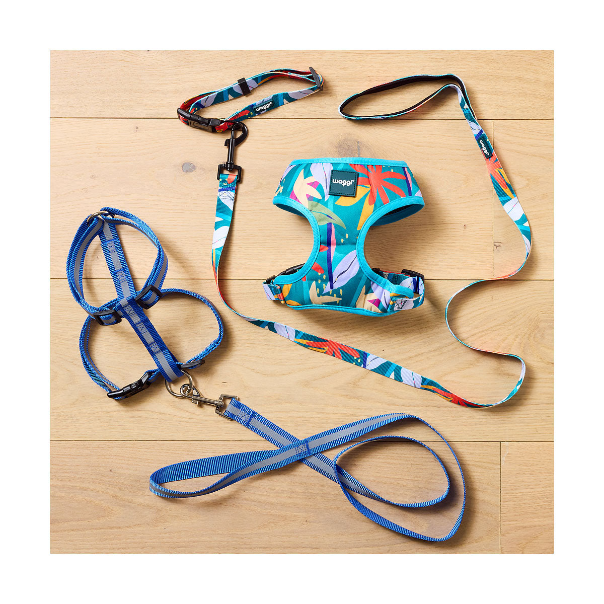 Reflective Dog Lead S/M/L