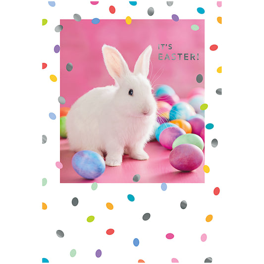 Easter Card Rabbit With Eggs