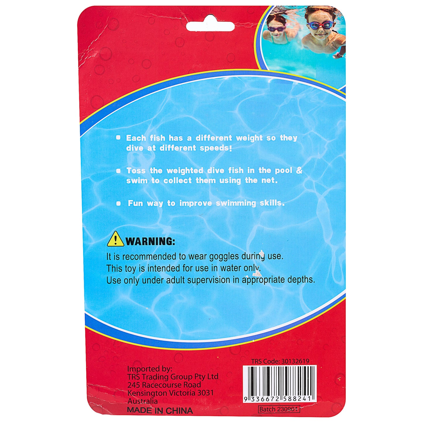 Diving Toy & Net Pool Game Fishes