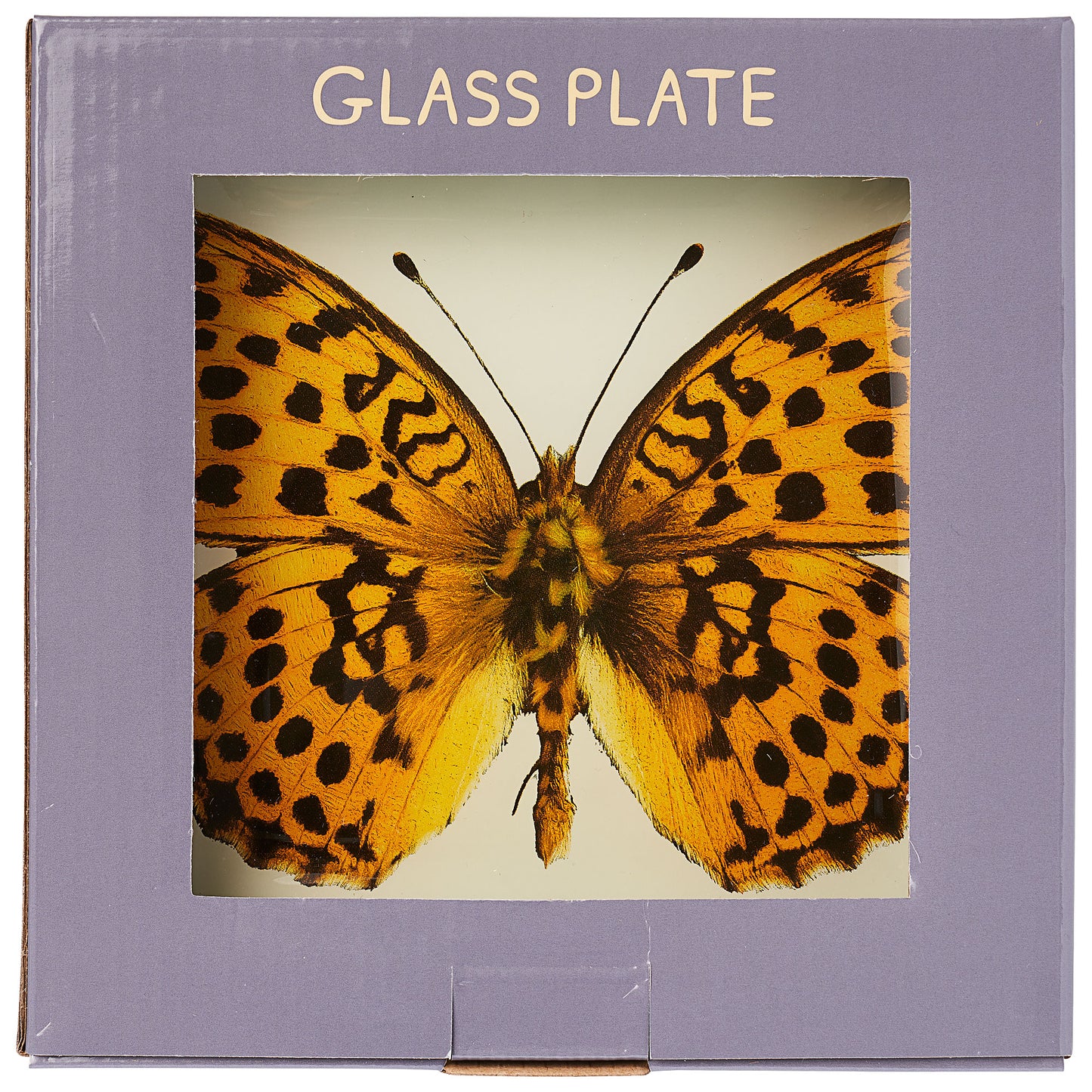 Tiger Butterfly Plate Glass Square 17cm