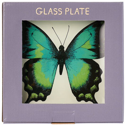 Tiger Butterfly Plate Glass Square 17cm