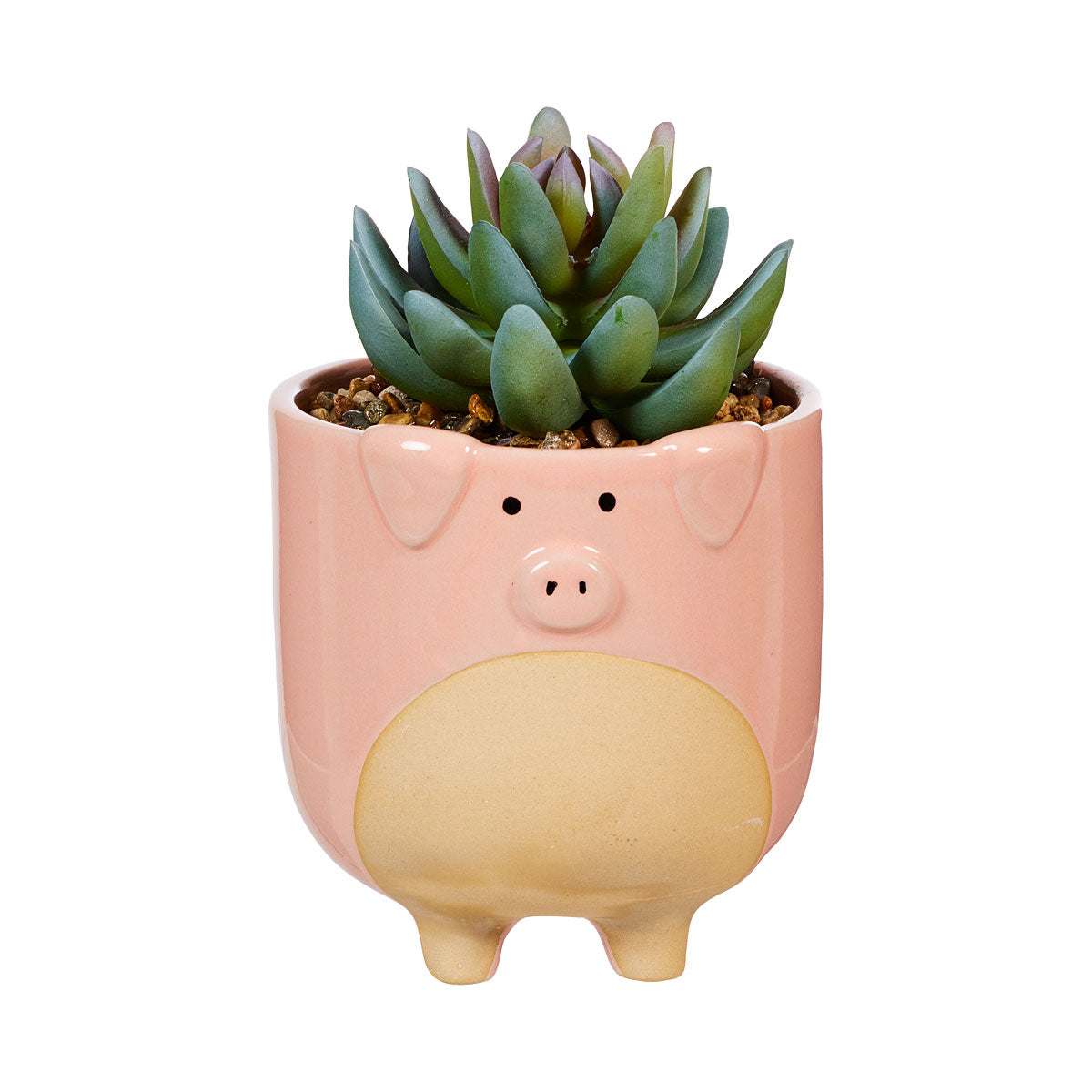Novelty Faux Succulent Cow/Pig