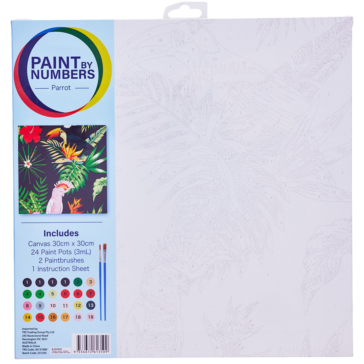 Paint By Number 30cm x 30cm Assorted