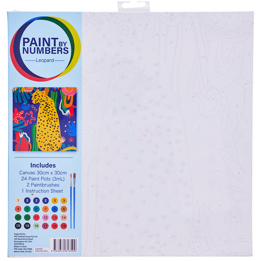 Paint By Number 30cm x 30cm Assorted