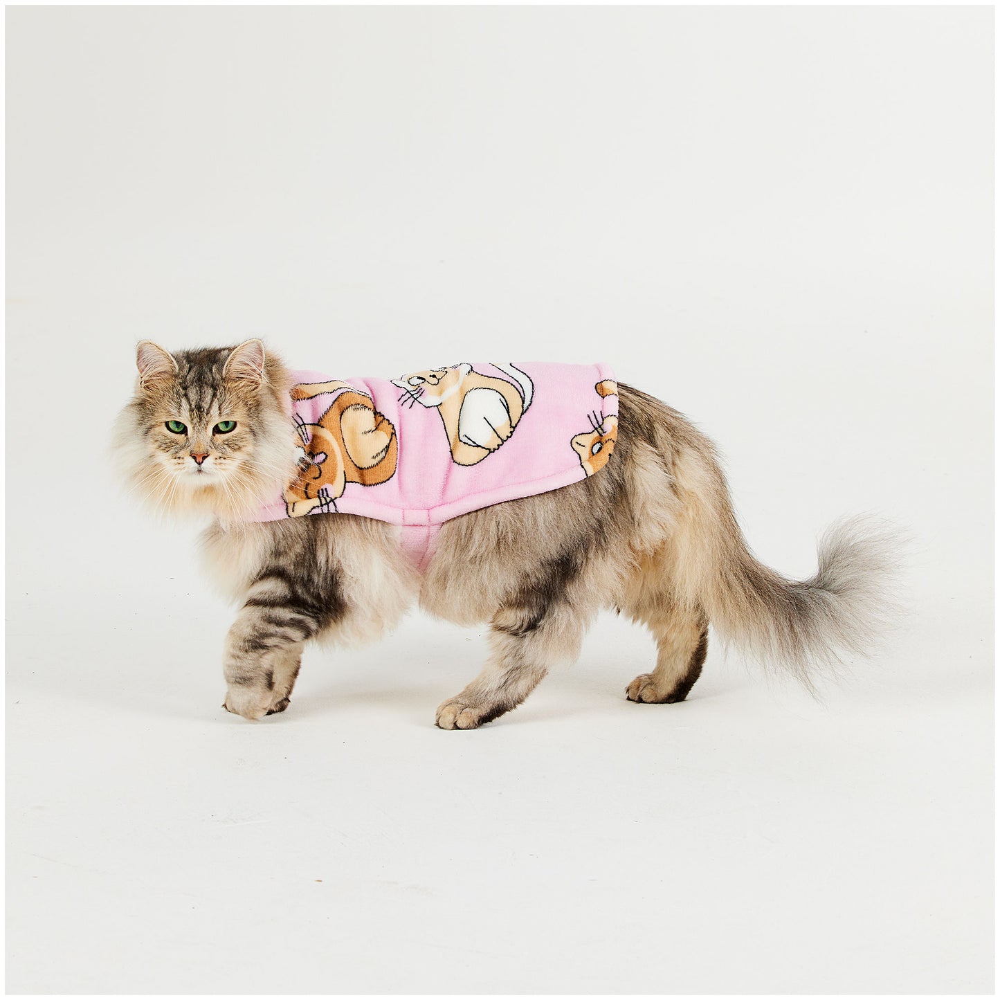 Novelty Cat Cape Pew Pew/Pink Cat