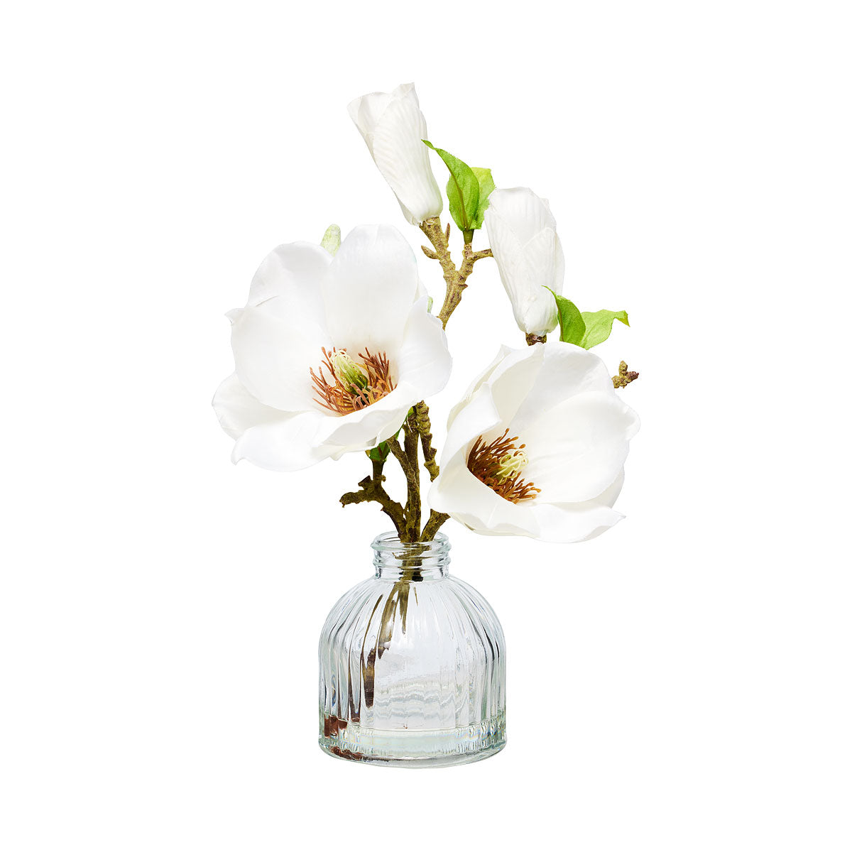 Faux Magnolias In Vase Cream/Pink