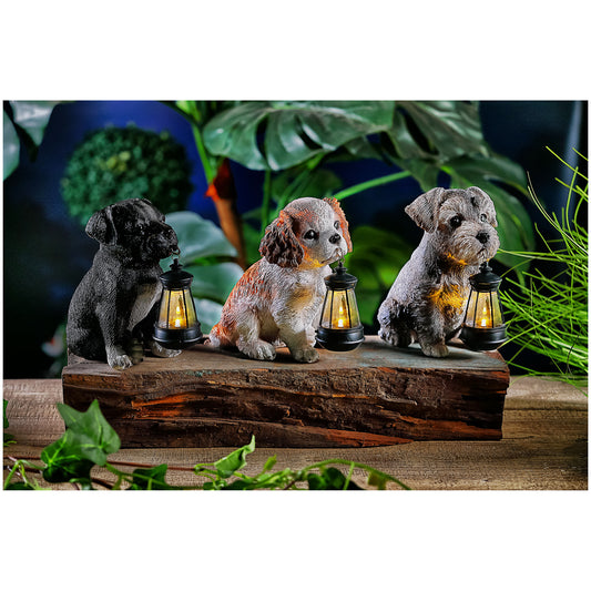 Puppy With Lantern Assorted