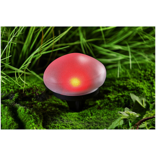 Solar Glass Stone Light Medium Assorted