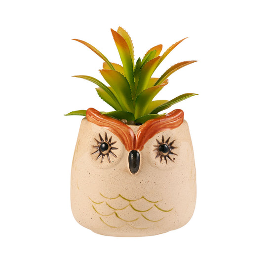 Novelty Faux Succulent Owl