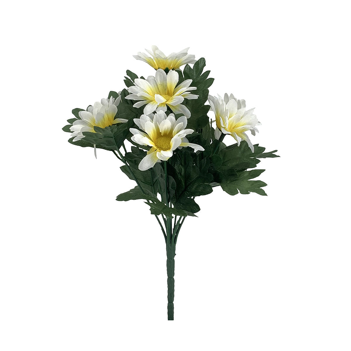 Daisy Bunch Assorted Colours