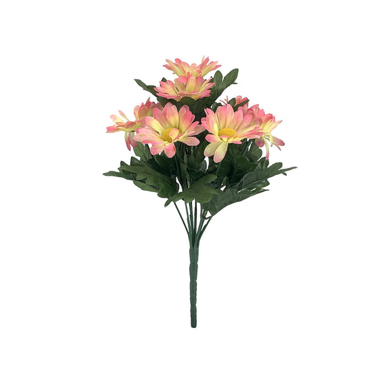 Daisy Bunch Assorted Colours