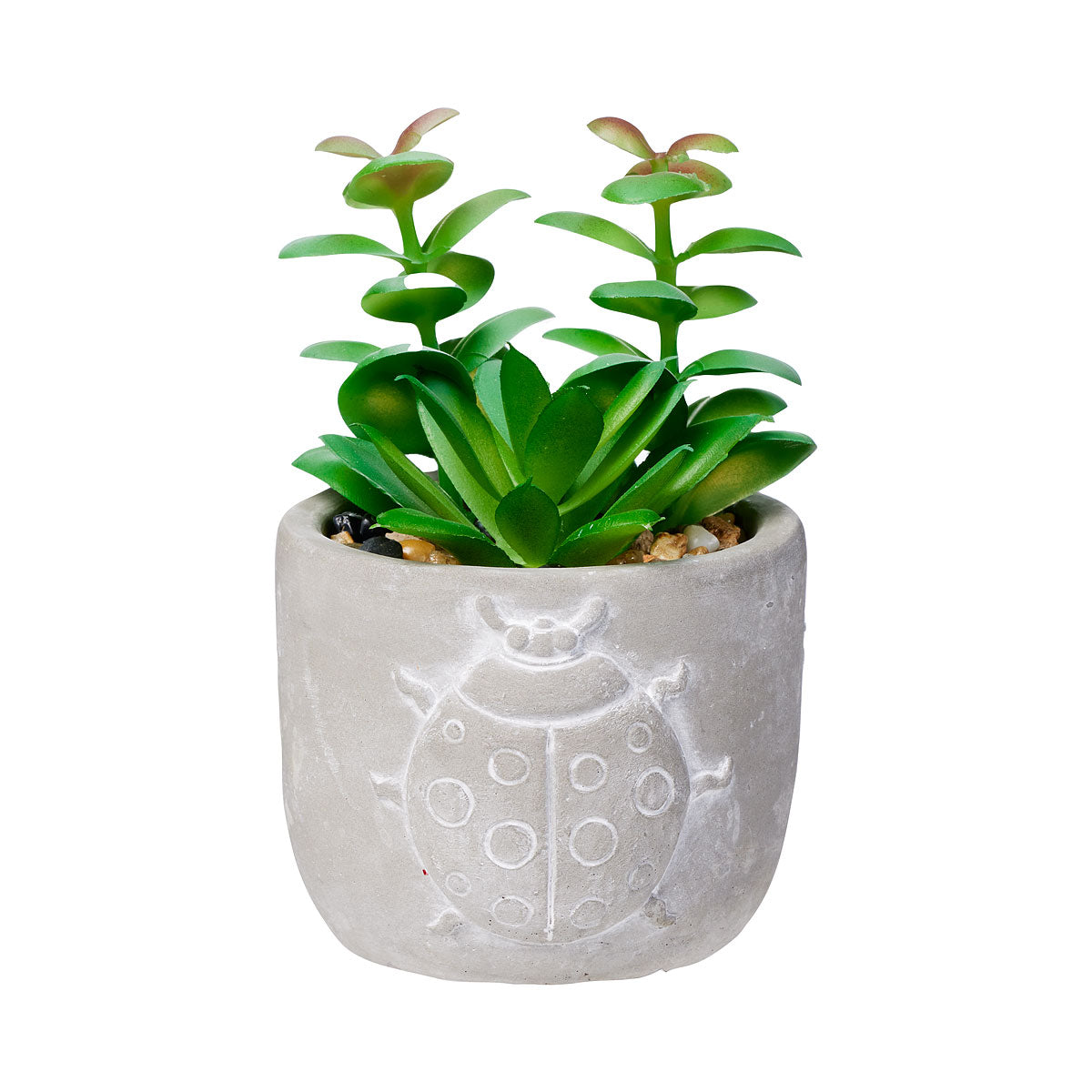 Faux Succulent In Cement Pot Bug/Butterfly