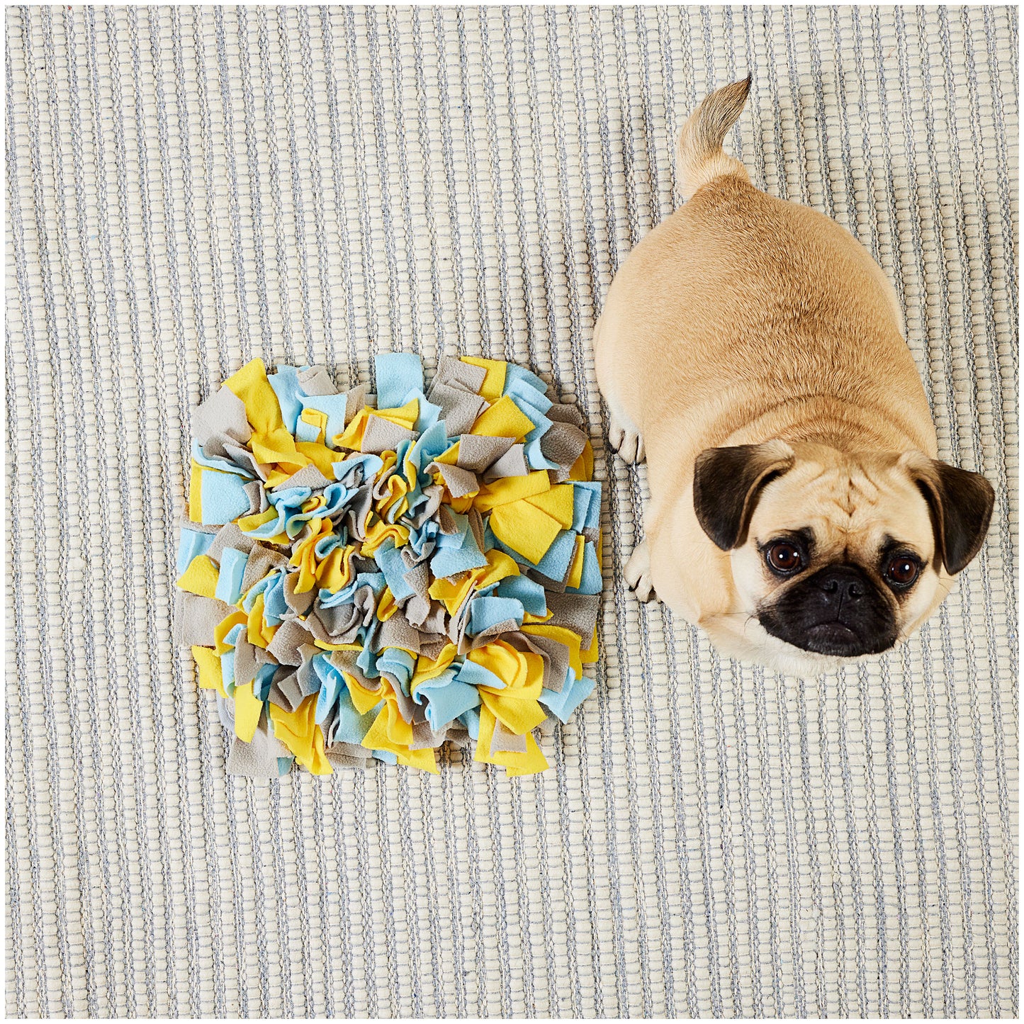Pet Snuffle Mat