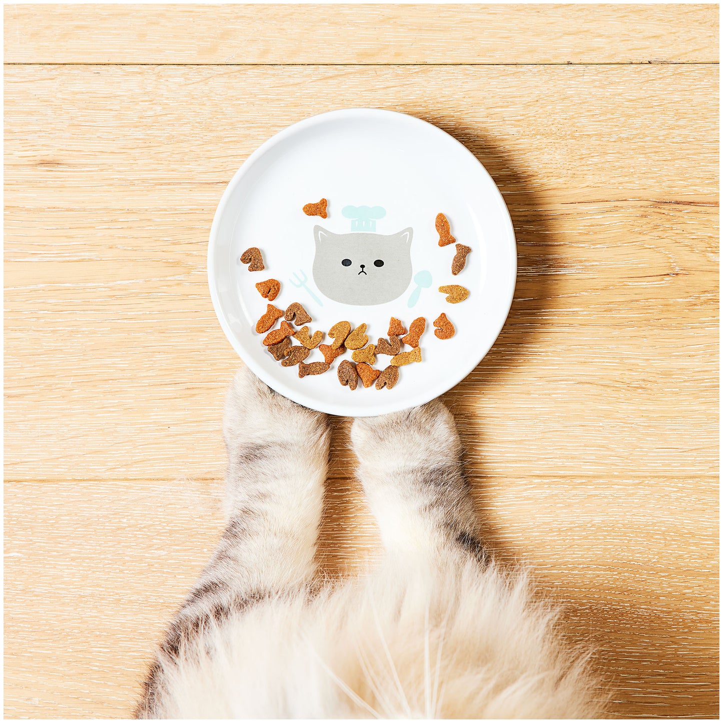 Novelty Cat Plate Assorted