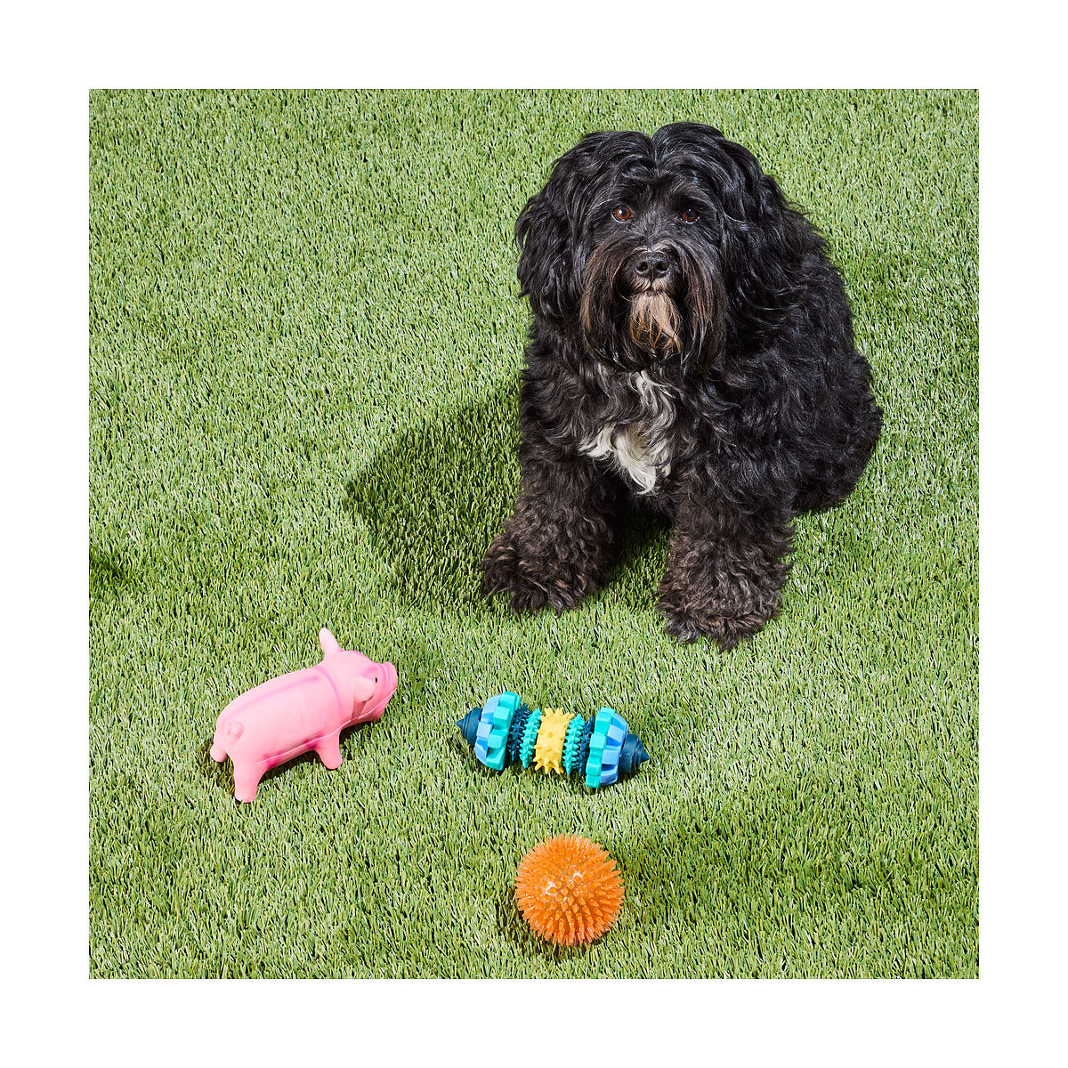 Waggi Dog Toy Spiky Ball 9cm Assorted