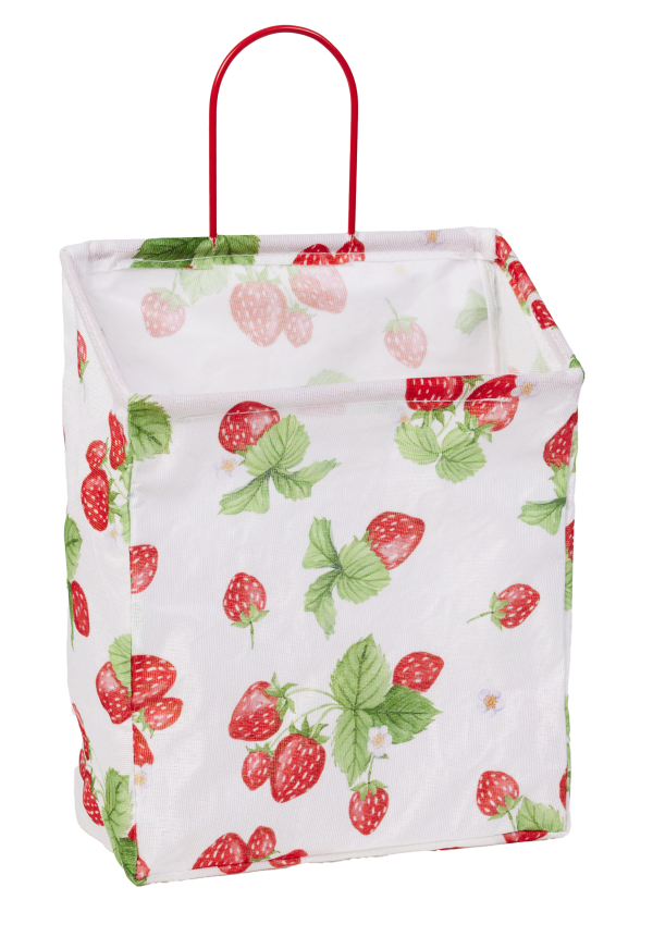 Sweet Strawberry Hanging Basket