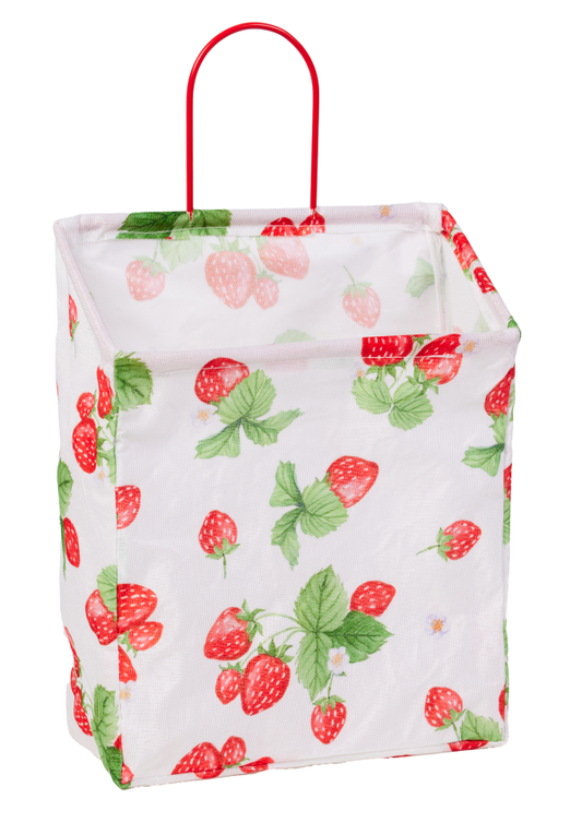 Sweet Strawberry Hanging Basket