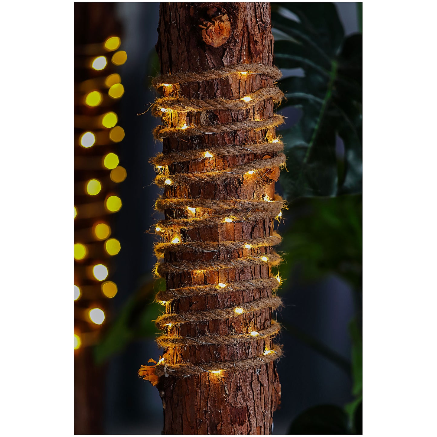 Solar Rope String Light 55 LEDs