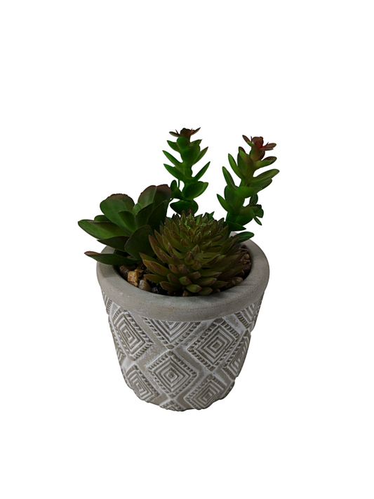 Multi Faux Succulent Pattern Cement Pot