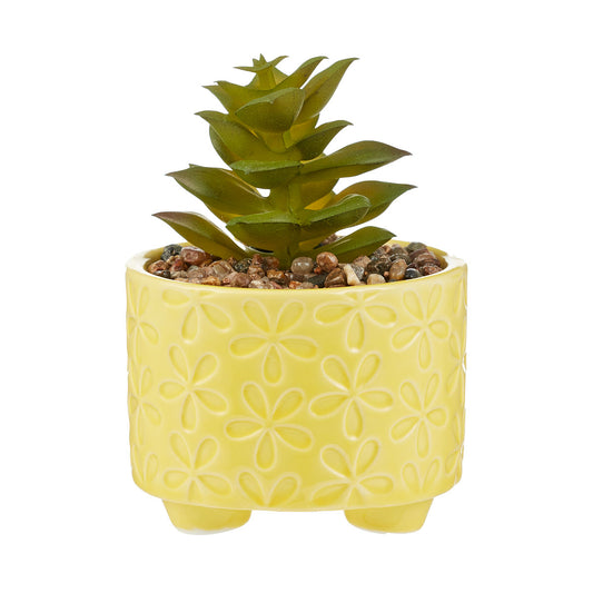 Havana Faux Succulent In Ceramic Pot Assorted