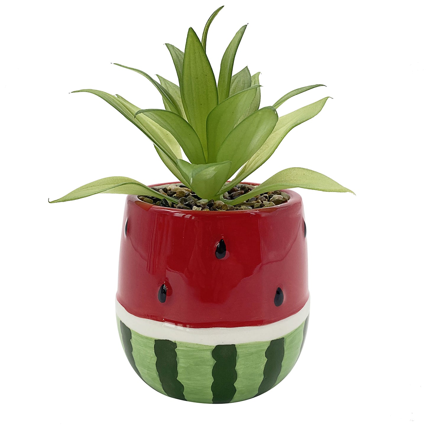 Faux Succulent In Pot Watermelon