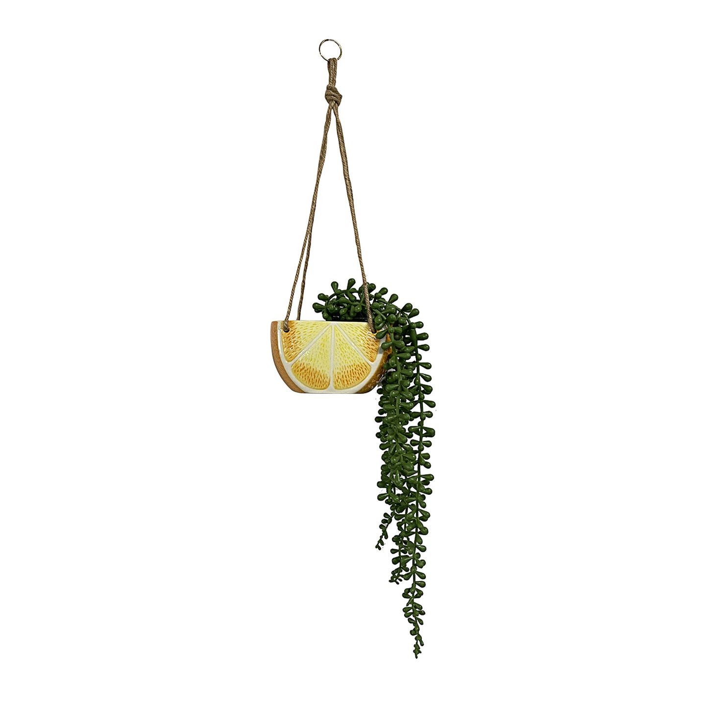 Faux Plant in Hanging Ceramic Citrus Pot Assorted