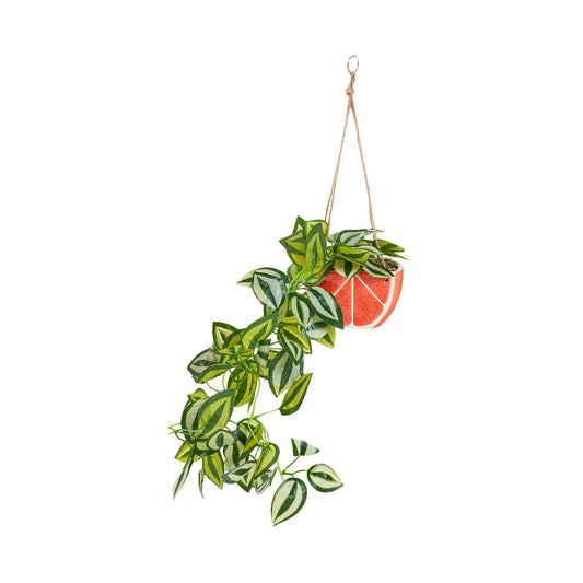 Faux Plant in Hanging Ceramic Citrus Pot Assorted
