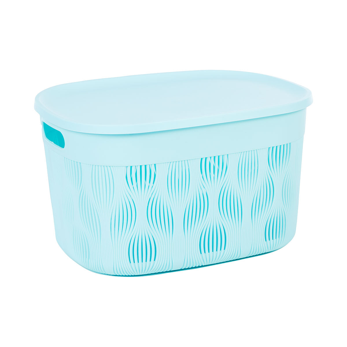 Tula Oval Basket With Lid 17.5L Assorted