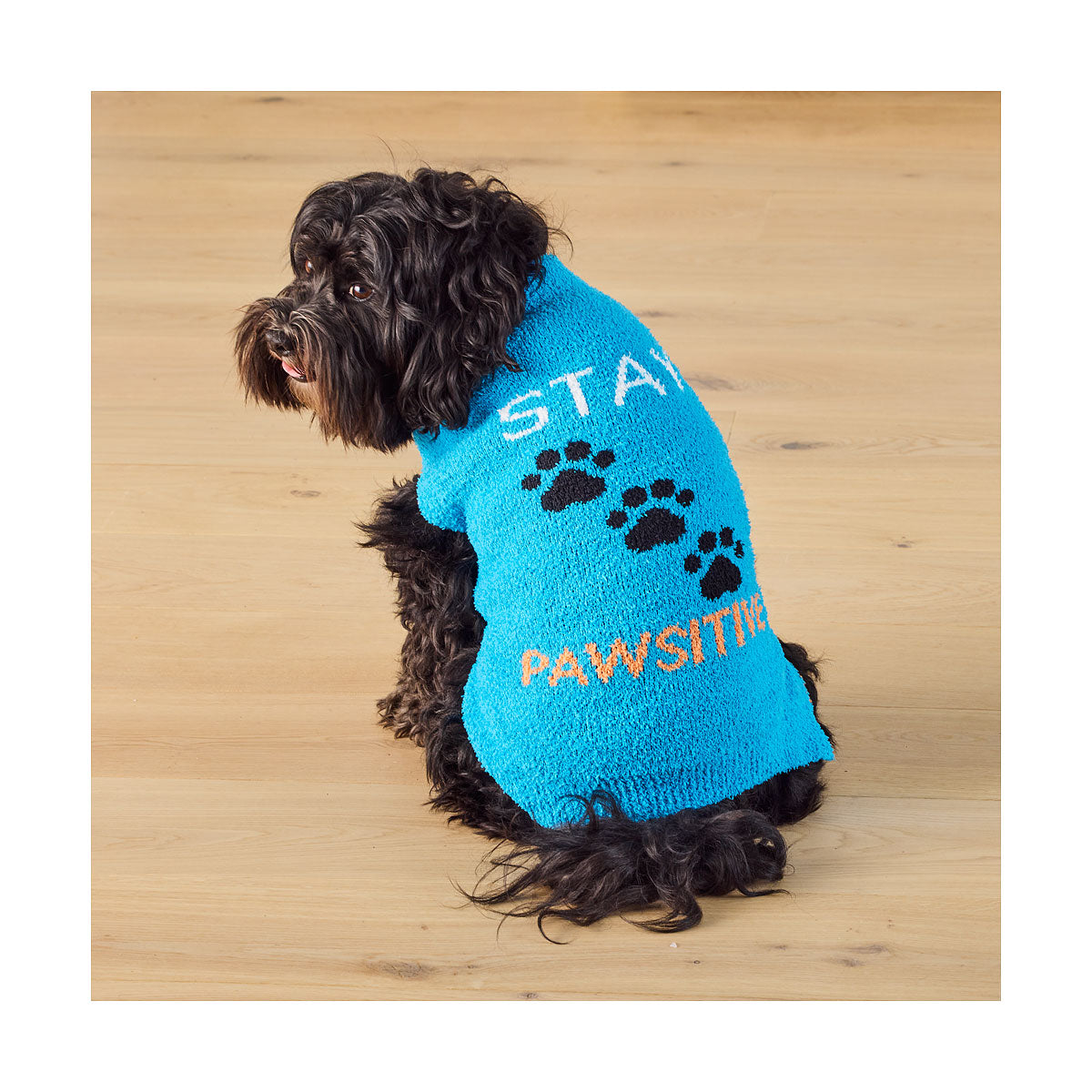 Pet Butter Yarn Knit Pawsitive/Stripe 30/40cm