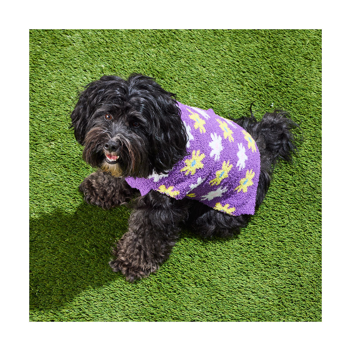 Pet Butter Yarn Knit Spot/Flower 30/40cm