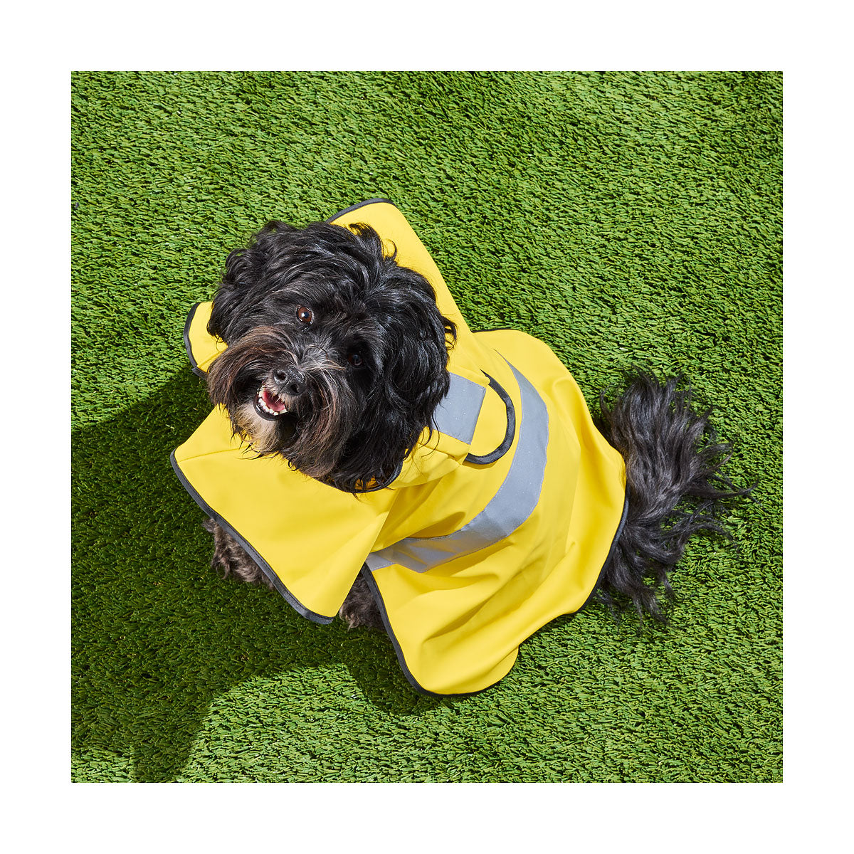 Pet Raincoat Yellow/Cobalt 30/40cm