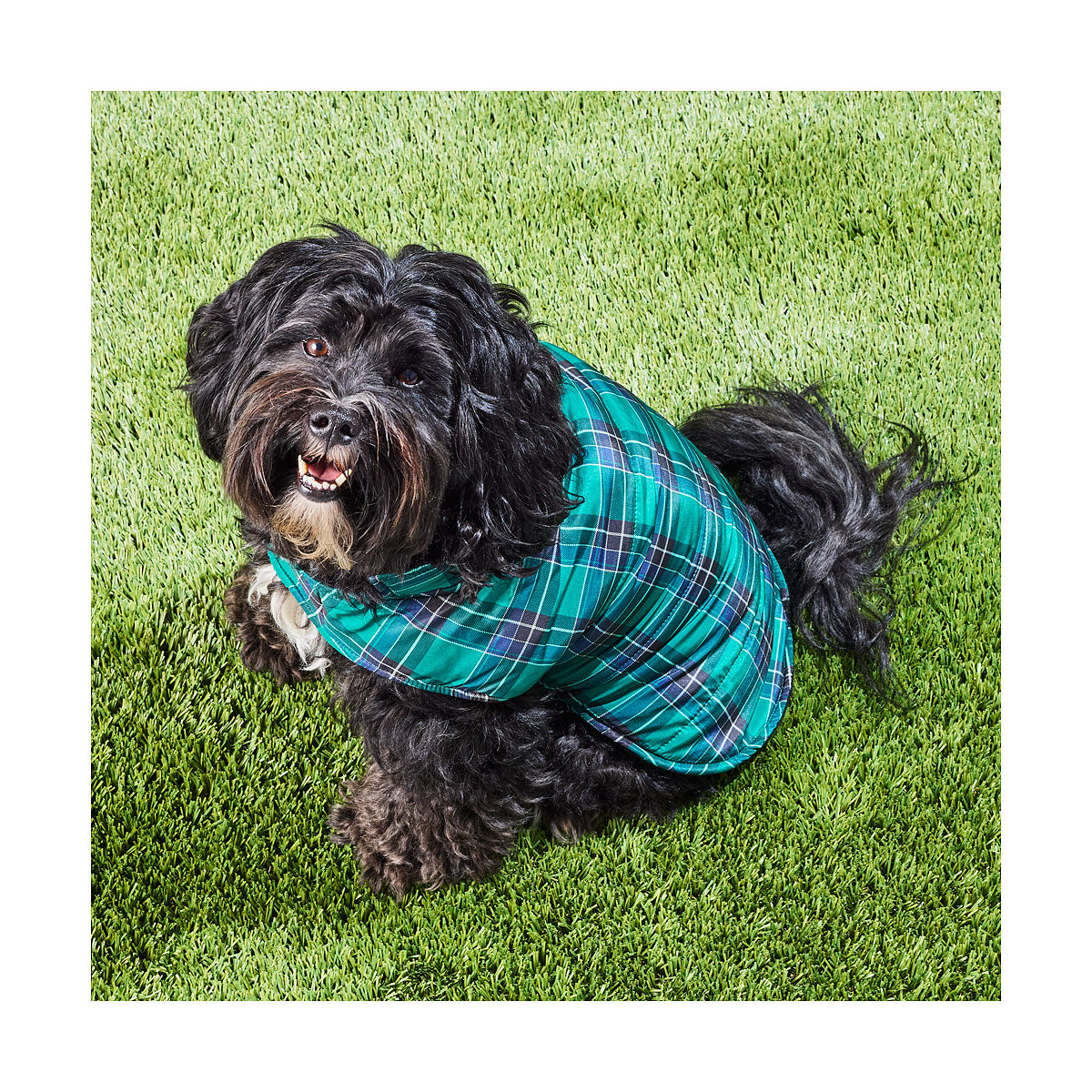 Pet Tartan Jacket Red/Green 30/40/50cm