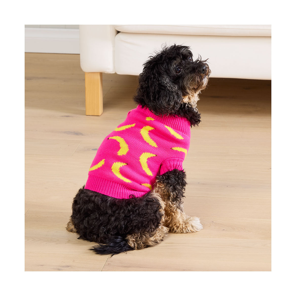 Waggi Pet Knit Argyle/Banana 30/35/40/45cm