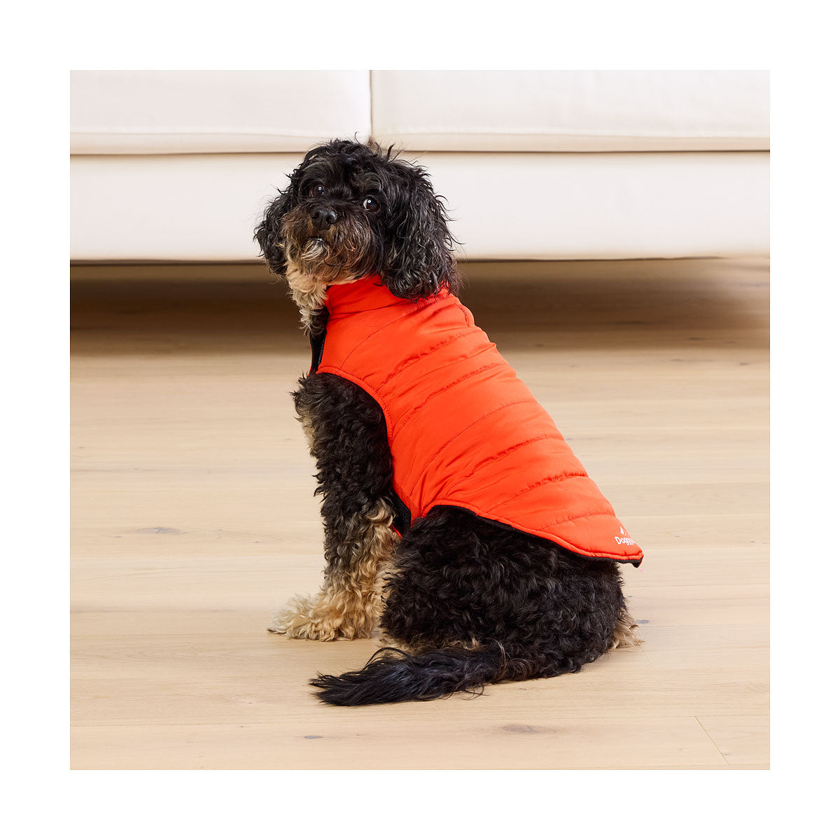 Waggi Pet Puffer Plain Black/Red 30/40/50/60cm