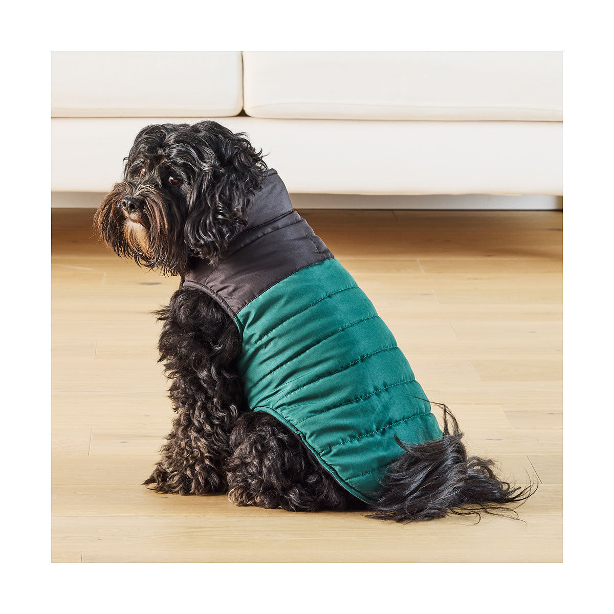 Waggi Pet Puffer Two-Tone Blue/Green 30/40/50cm