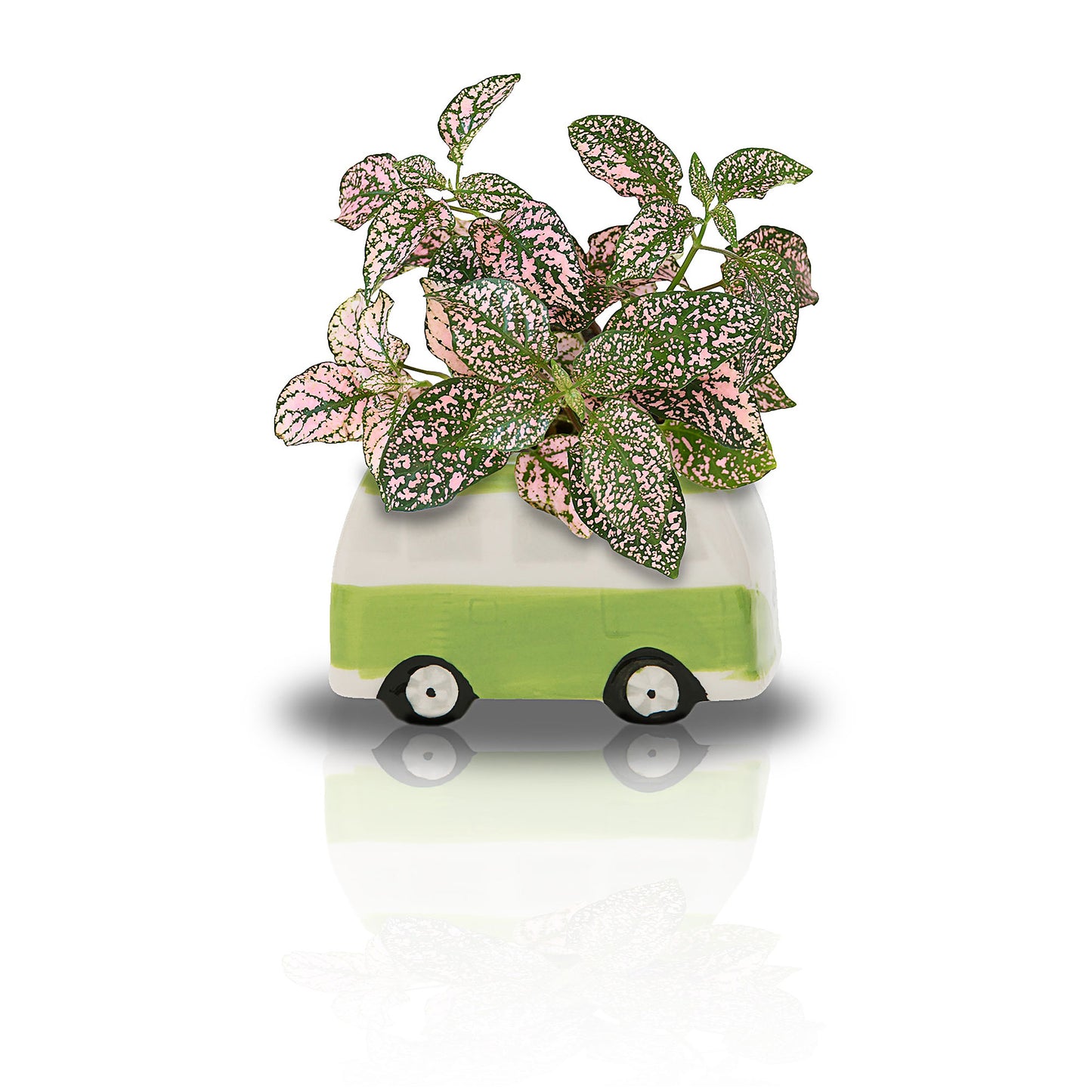 Minivan Grow Kit Green