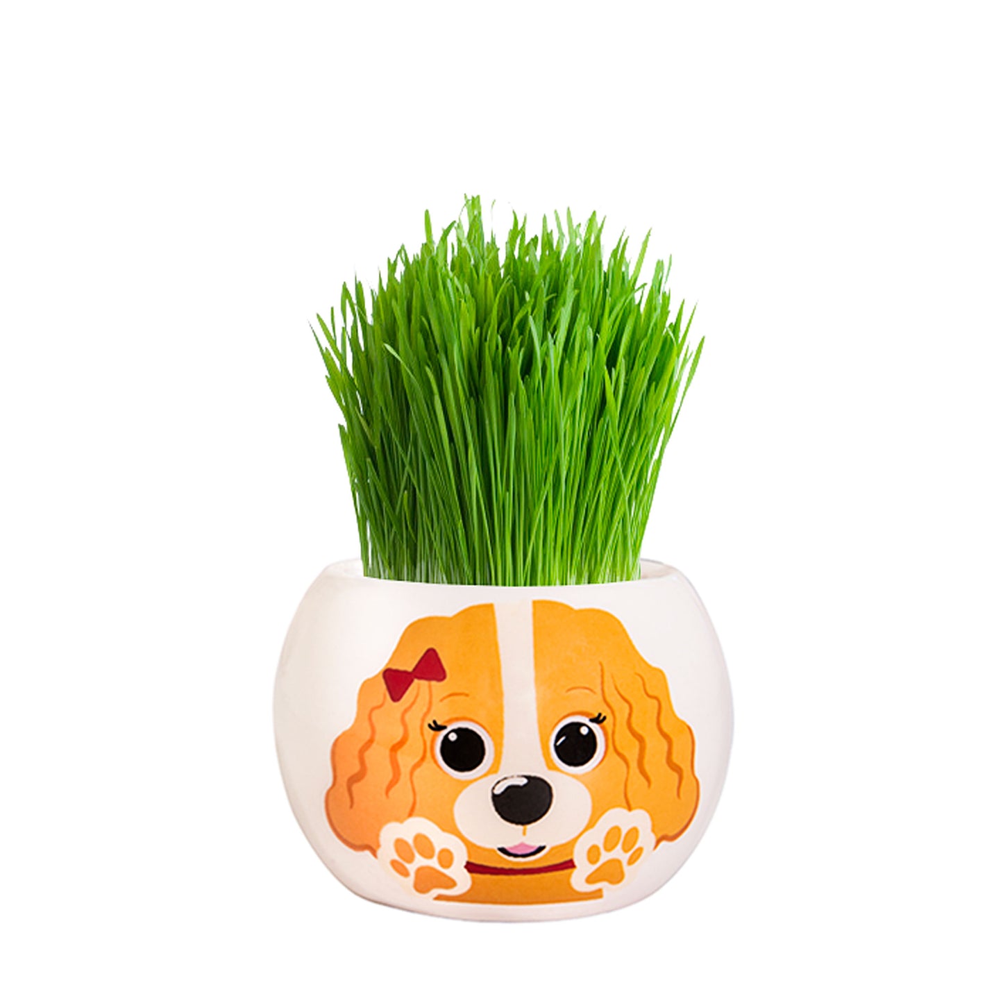 Grass Hair Kit Puppy Cavalier