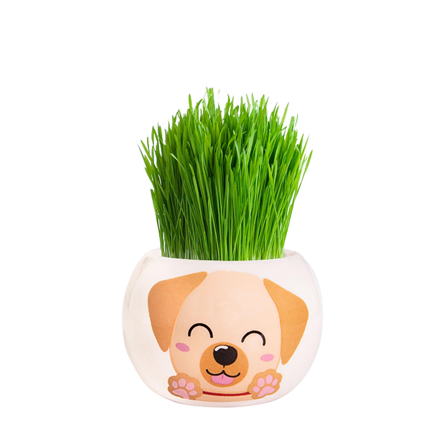 Grass Hair Kit Puppy Labrador