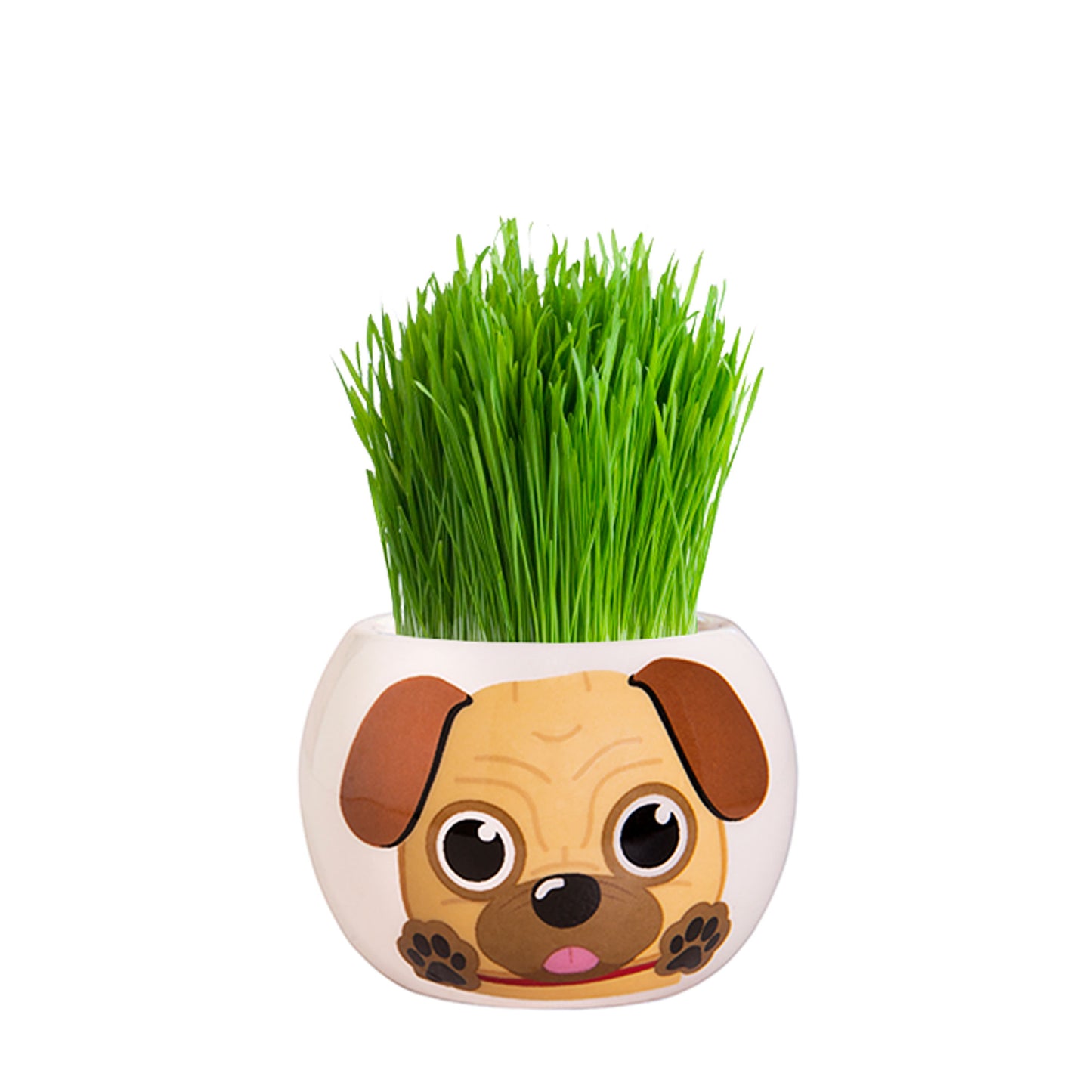 Grass Hair Kit Puppy Pug