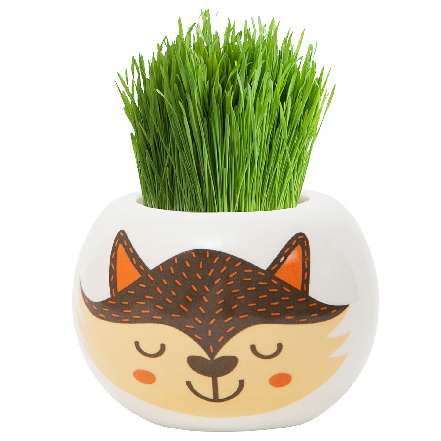 Grass Hair Kit Wild Fox