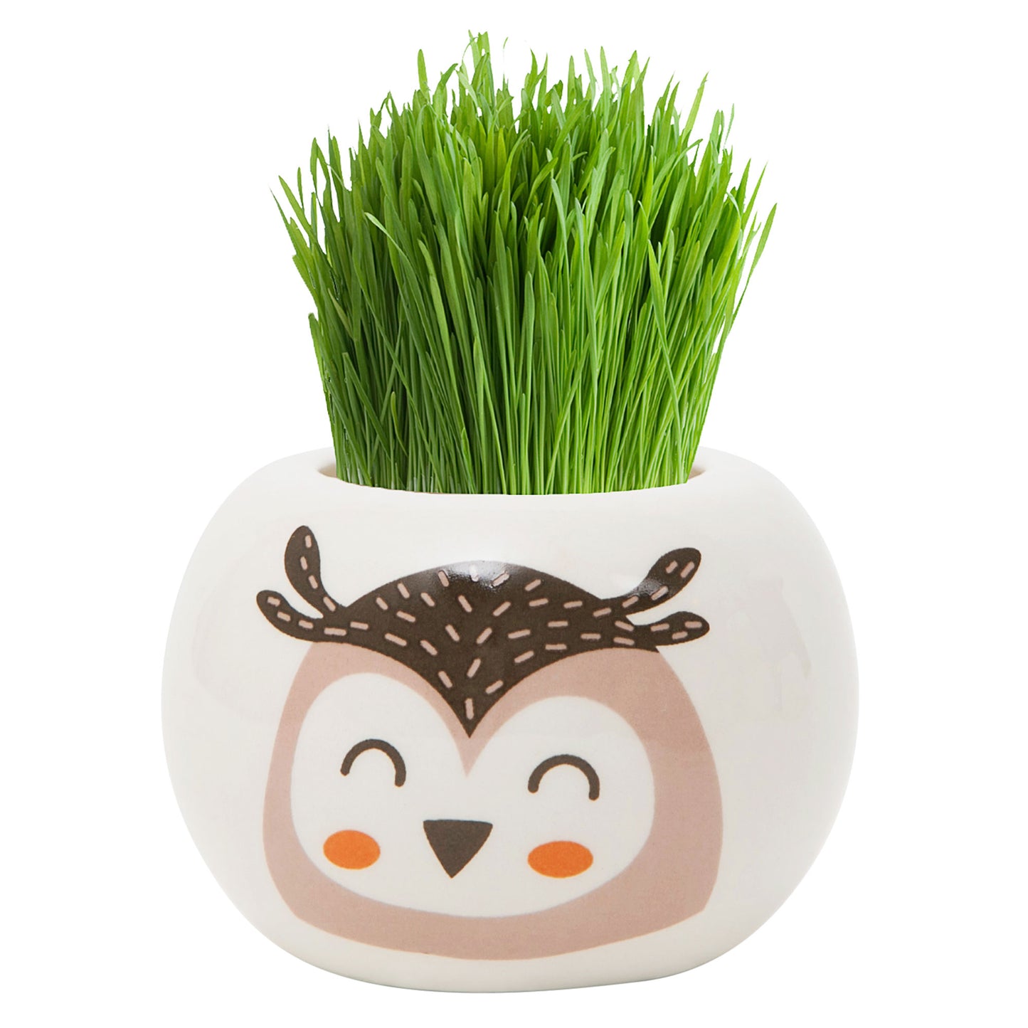 Grass Hair Kit Wild Owl