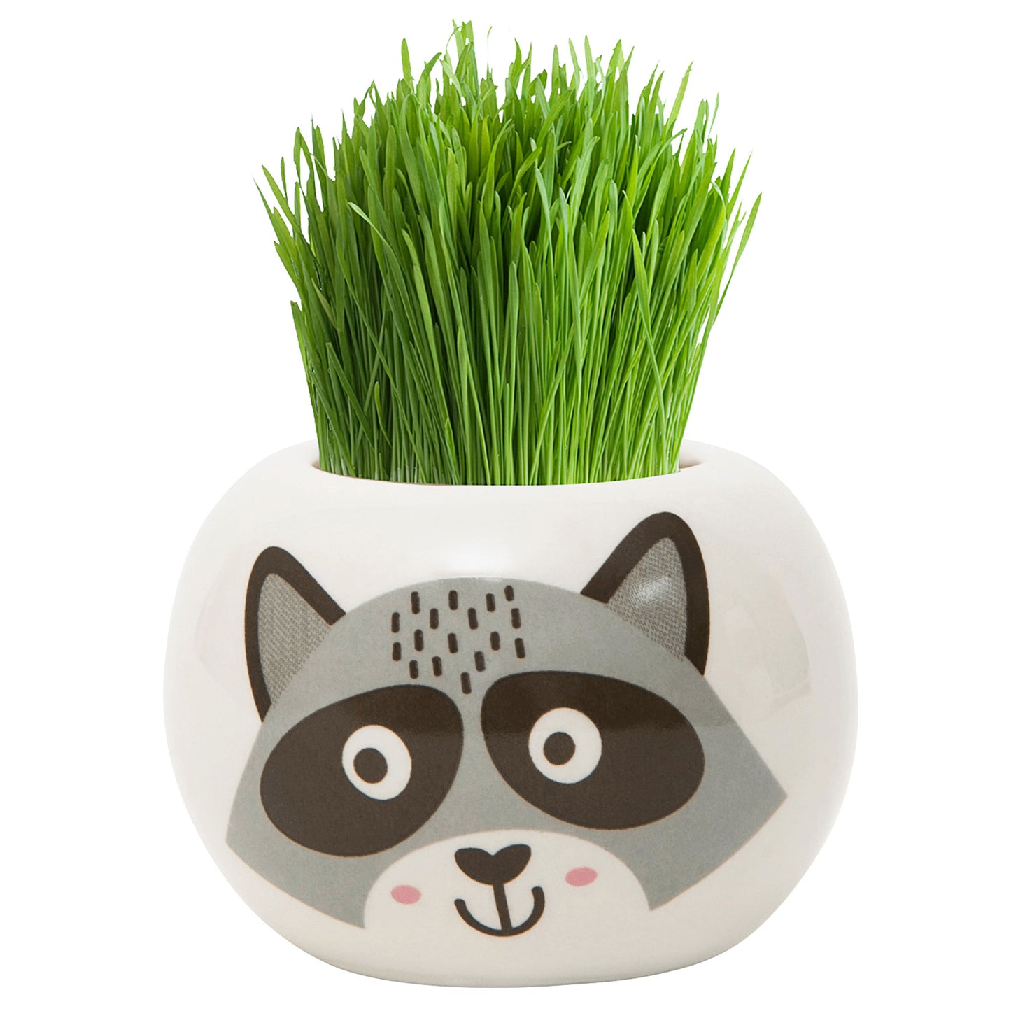 Grass Hair Kit Wild Raccoon