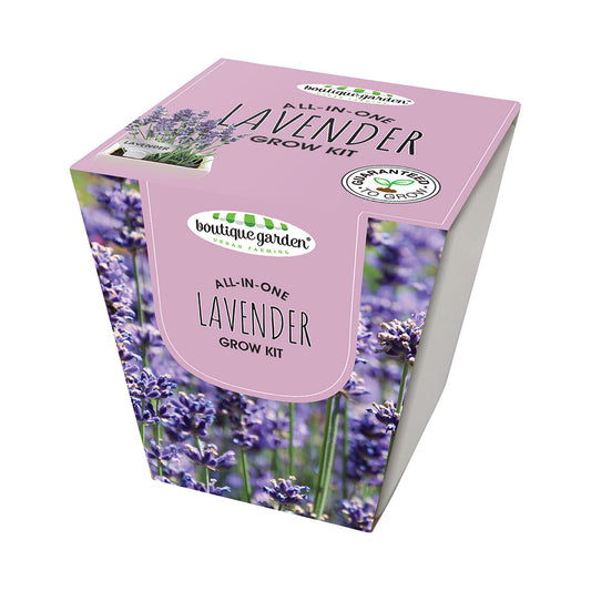 Ceramic Square Pot Lavender