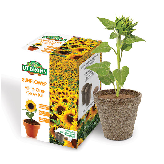 Grow Kit Sunflowers