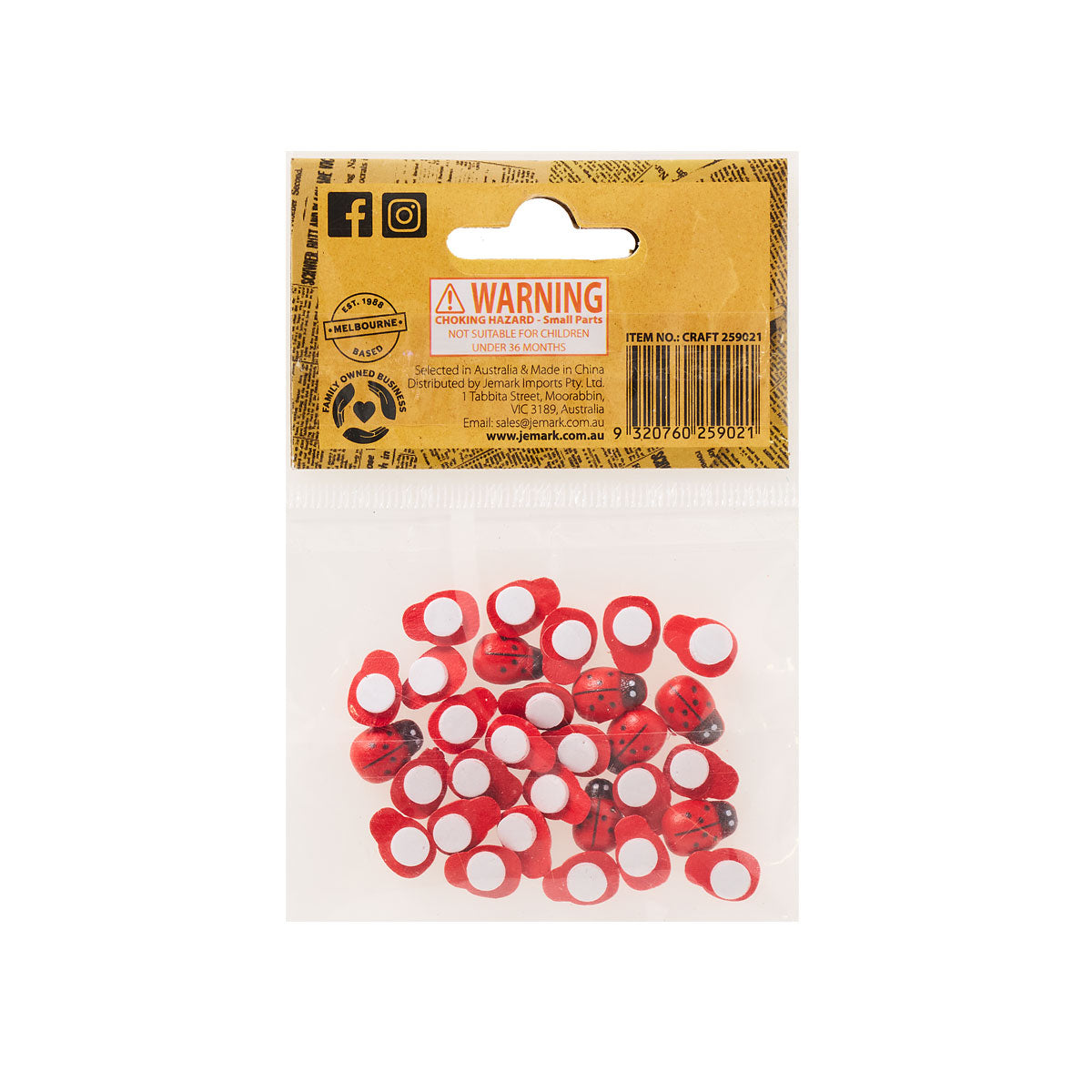 Craft Wood Insects Assorted