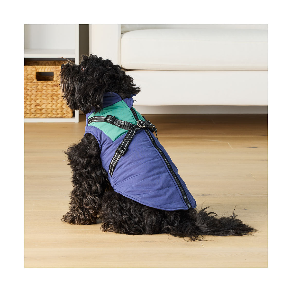 Inbuilt Pet Harness 30/40cm