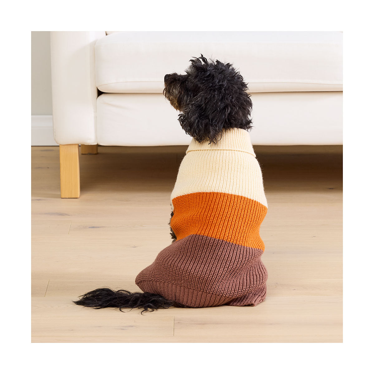 Pet Block Stripe Knit 30/40cm