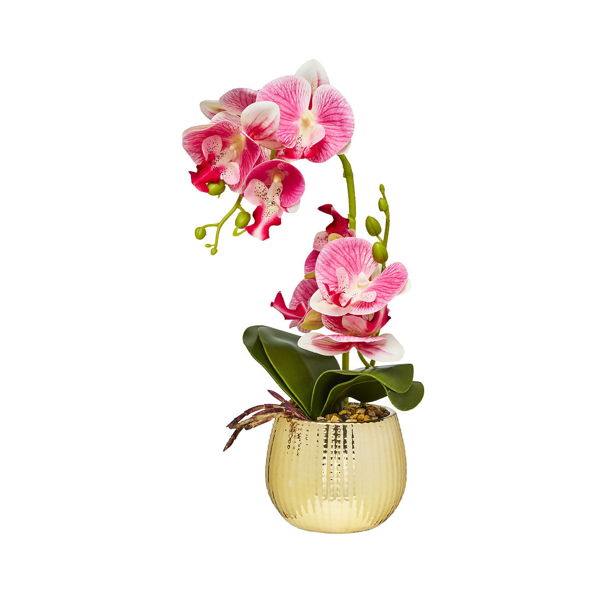 Faux Orchid In Gold Pot White/Pink
